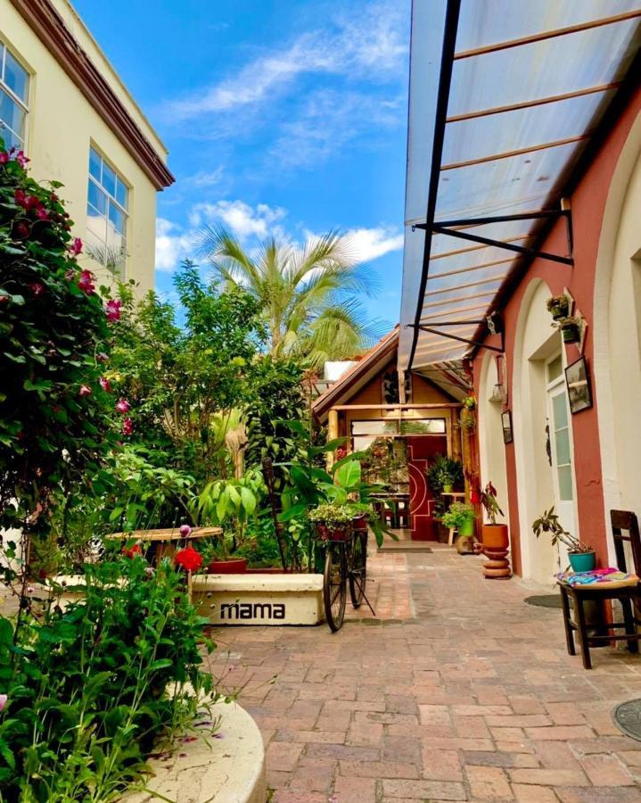 Hostal Yakumama Cuenca Bagian luar foto